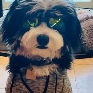 Meet your Posher, Bethany